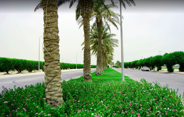 Top 10 activities in Saudi Arabias Jubail Corniche - Top 10 activities in Saudi Arabia's Jubail Corniche