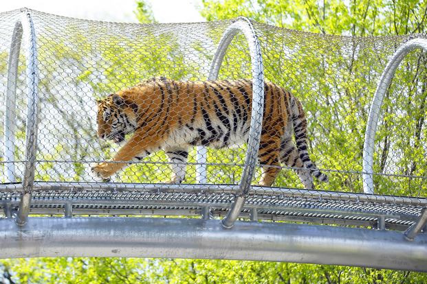 The Zoo in Philadelphia is one of the most beautiful places of tourism in America