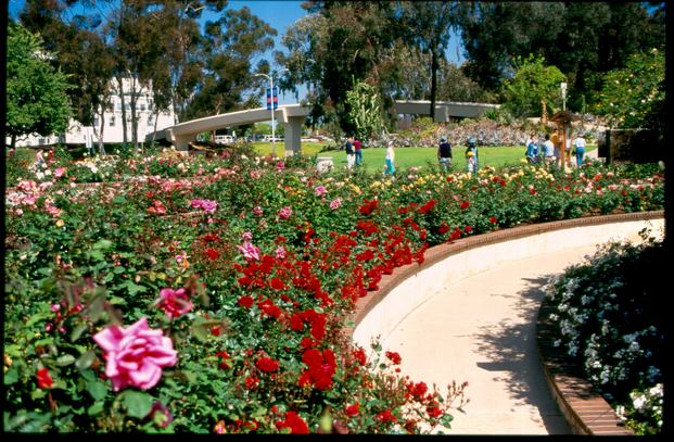 Balboa San Diego Park
