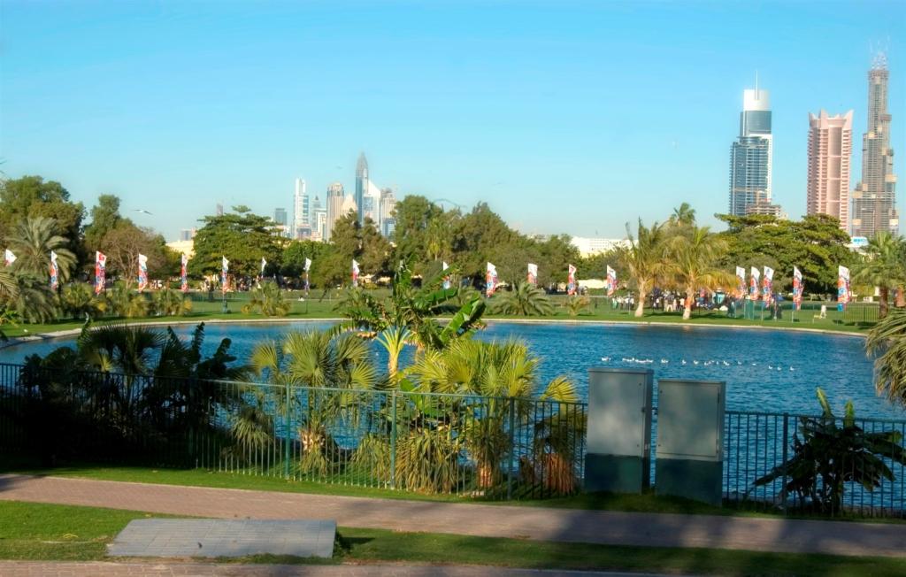 Al Safa Park Dubai is one of the most beautiful parks in Dubai entertainment 