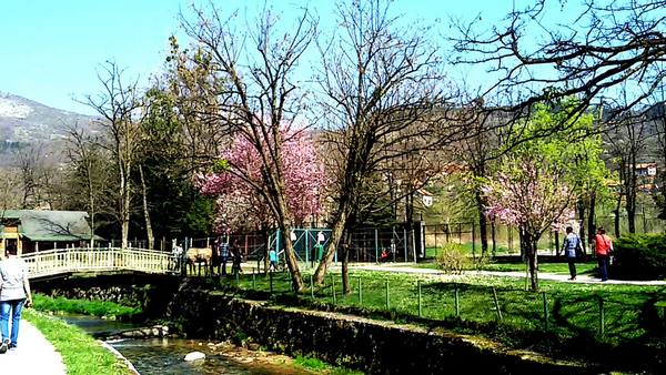 Top 4 activities in the Bosnian Spring Garden Sarajevo Bosnia - Top 4 activities in the Bosnian Spring Garden, Sarajevo, Bosnia and Herzegovina