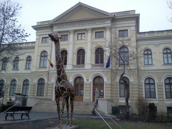 Bucharest Natural History Museum