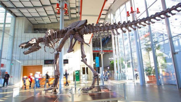 Top 5 activities at the California Academy of Sciences in San Francisco