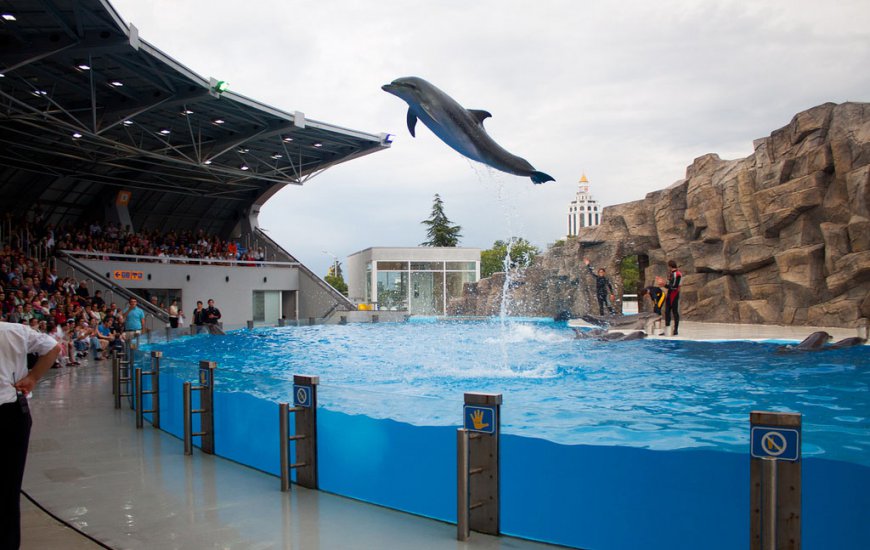 Georgia Dolphinarium Batumi
