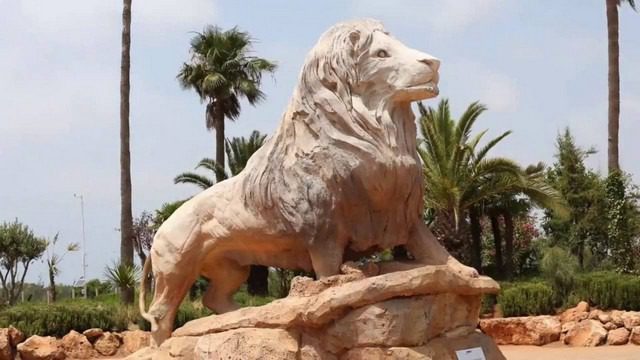 Top 5 activities in Rabat Zoo Morocco - Top 5 activities in Rabat Zoo Morocco