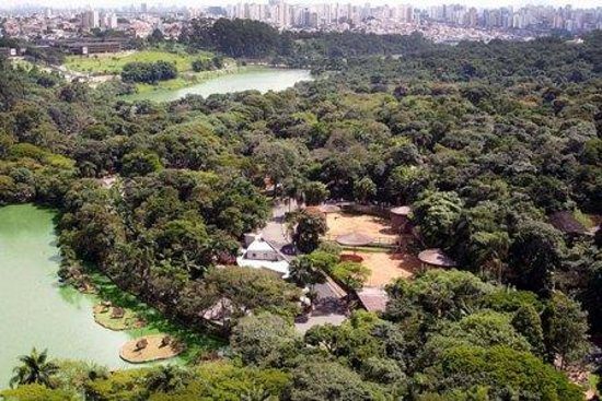 Top 5 activities in São Paulo Zoo Brazil