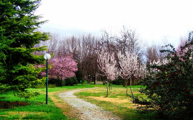 Top 5 activities in the Botanic Garden Bursa Turkey - Top 5 activities in the Botanic Garden, Bursa Turkey