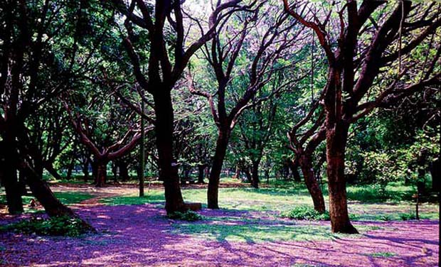 Coupon Park Bangalore India