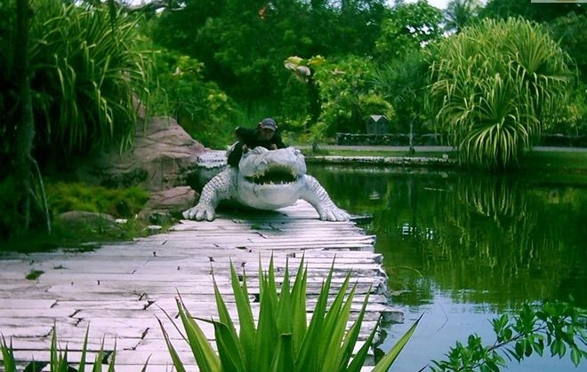 Crocodile garden on Langkawi Island 