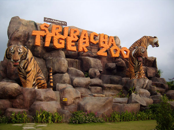 Tiger Park in Pattaya, Thailand