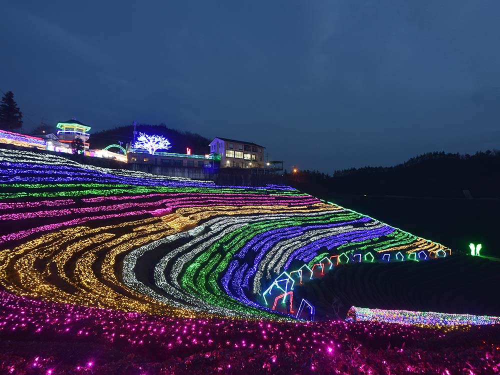 Holiday-Me_ festival-lights-farm-Boseong-tea_359178980