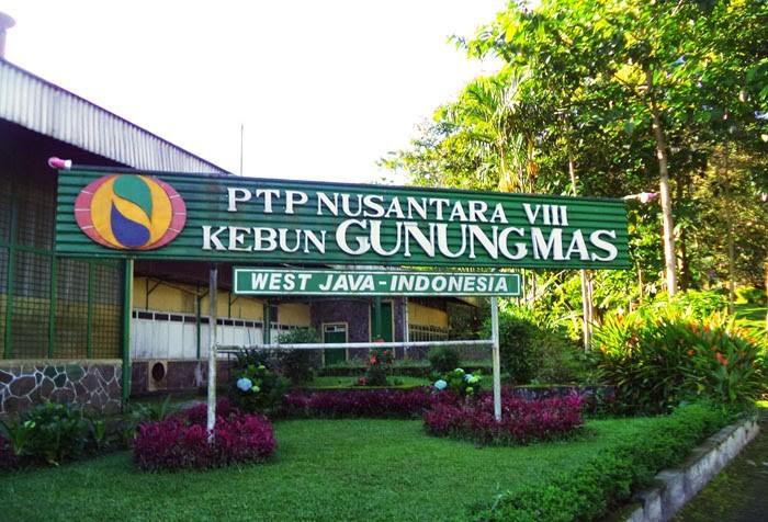Gunung Mas Puncak farms Indonesia