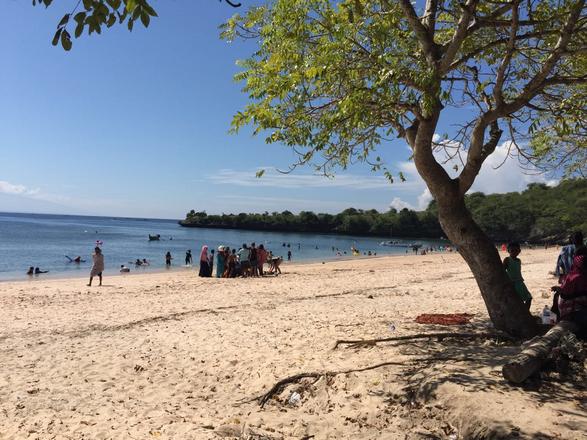 Top 6 activities at the pink beach in Lombok Indonesia - Top 6 activities at the pink beach in Lombok Indonesia