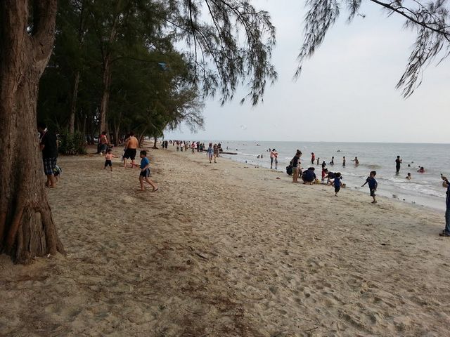 Pagan Lalang Selangor Beach 