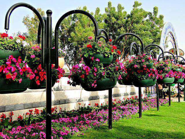Al Ain flower garden