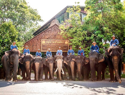 The gates of elephants village in Pattaya