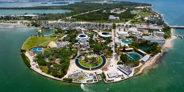 Miami Aquarium is one of the most popular tourist places in America