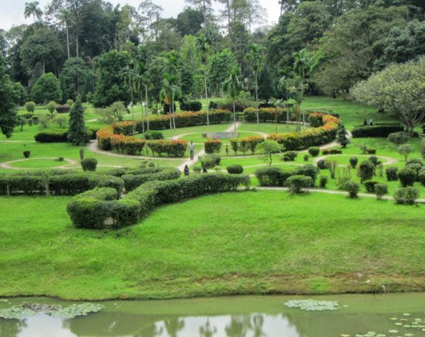 Top 8 activities in Penang Botanical Gardens - Top 8 activities in Penang Botanical Gardens