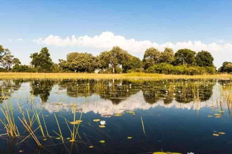 "Okavango Delta" ... the most beautiful tourist place in Botswana ..
