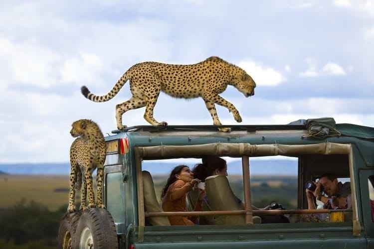 Tourism in Kenya .. the ideal place for adventure lovers - Tourism in Kenya .. the ideal place for adventure lovers and safari trips ..