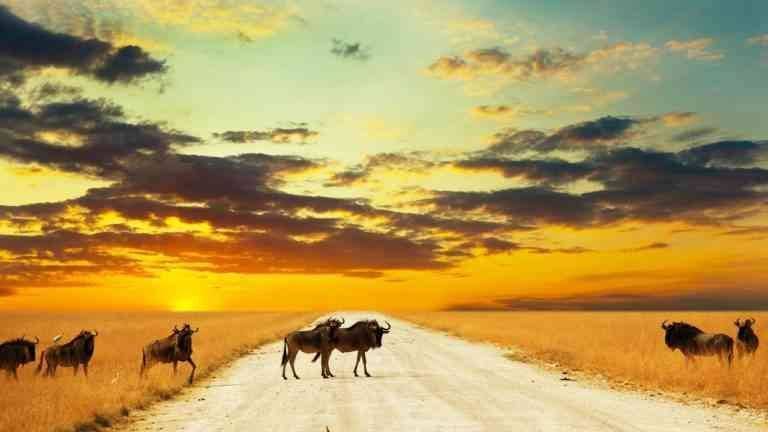 Traveling to Namibia .. Find out the temperatures and the best times to visit in Namibia ..