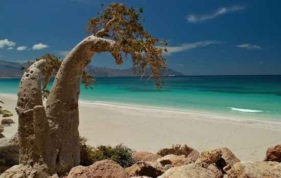 Tourist attractions on Socotra Island