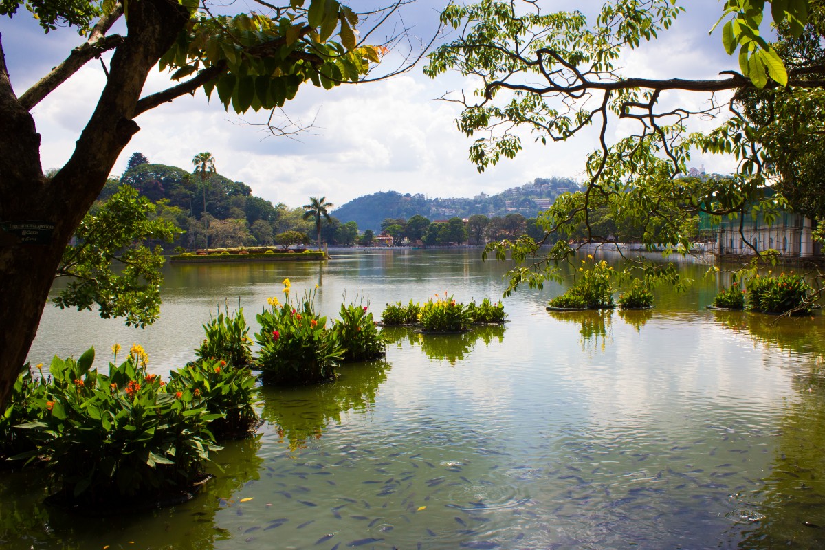 Lake Kandy 