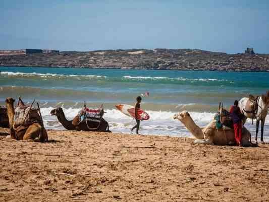 "Swimming" in the beaches of Essaouira..One of the most important tourist activities in Morocco ..
