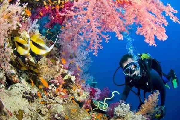 Diving - sightseeing activities in Sharm Elsheikh