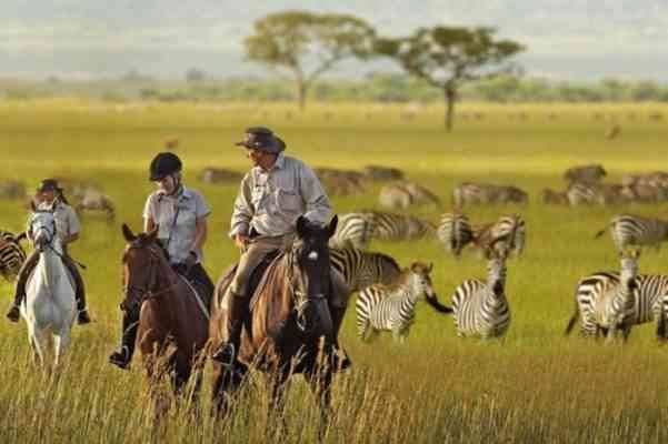 Tourist activities in South Africa 