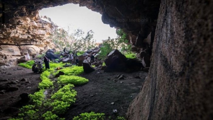 Umm Jarasan Cave in Saudi Arabia, the longest in the Arab world