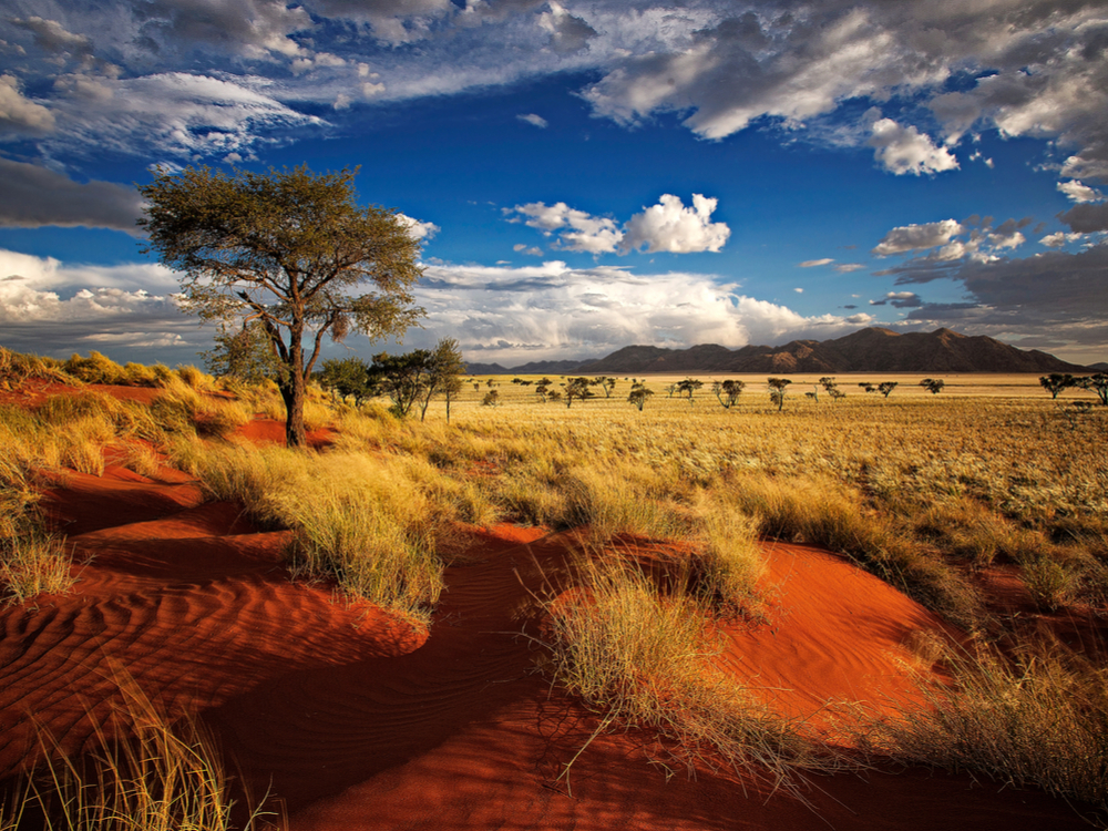 The nature of Namibia