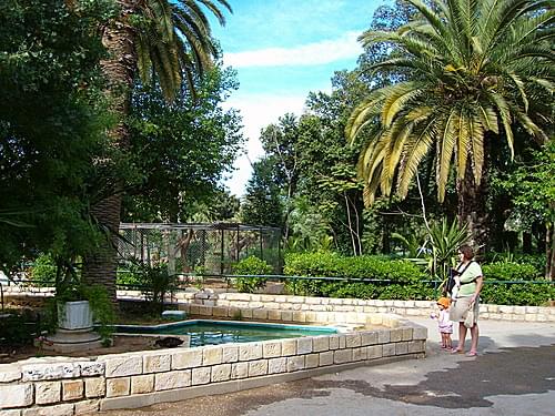 You should visit the Tunis Zoo ... fun for you - You should visit the Tunis Zoo ... fun for you and your children