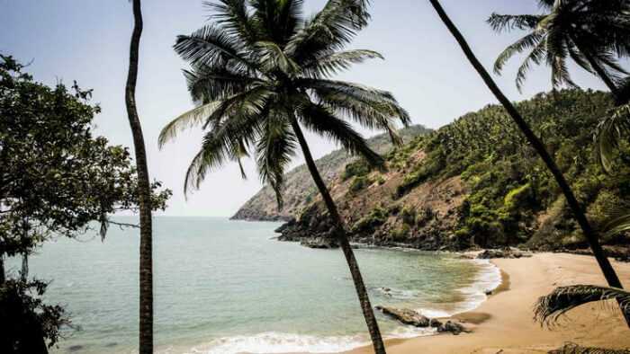 Your best guide to seeing the best natural scenery in - Your best guide to seeing the best natural scenery in Goa, India