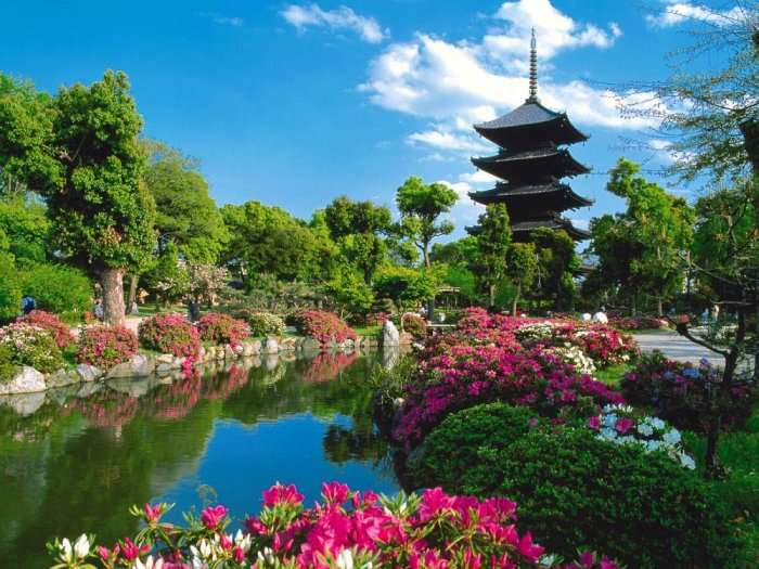 Your next vacation in Japan - Your next vacation in Japan