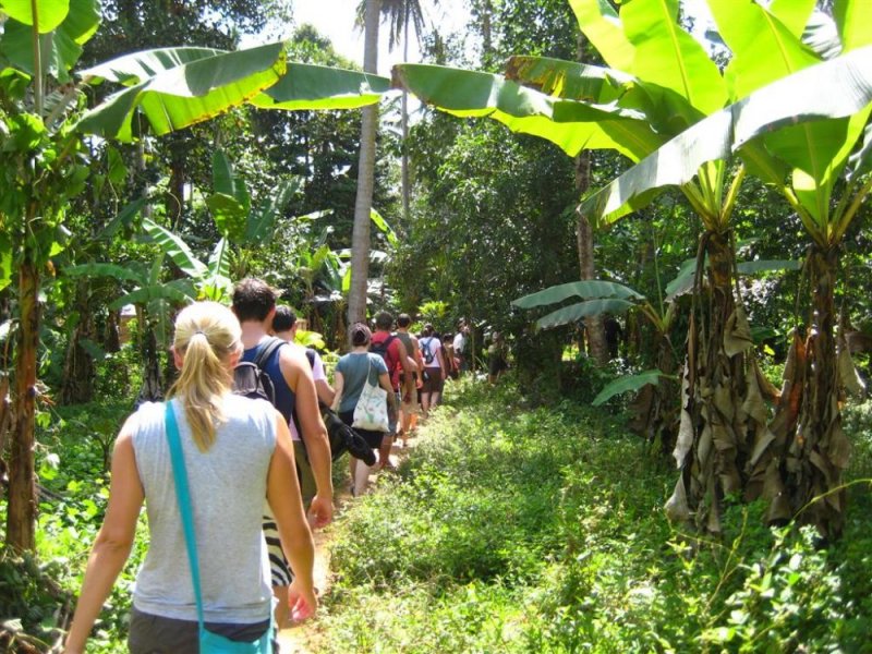 Spice forest trips