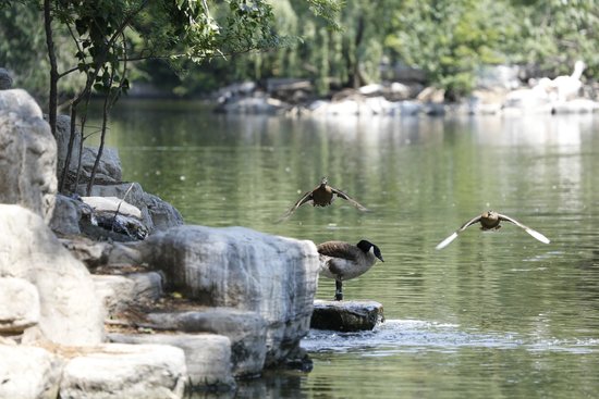 Beijing Zoo is one of the best tourist places in Beijing, China