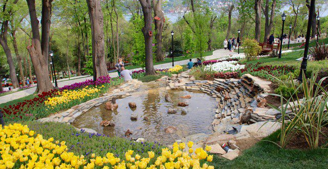 Pictures of Emir Kurosu Garden